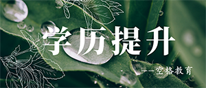 空格教育