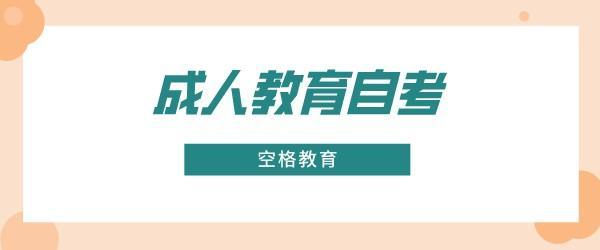 空格教育